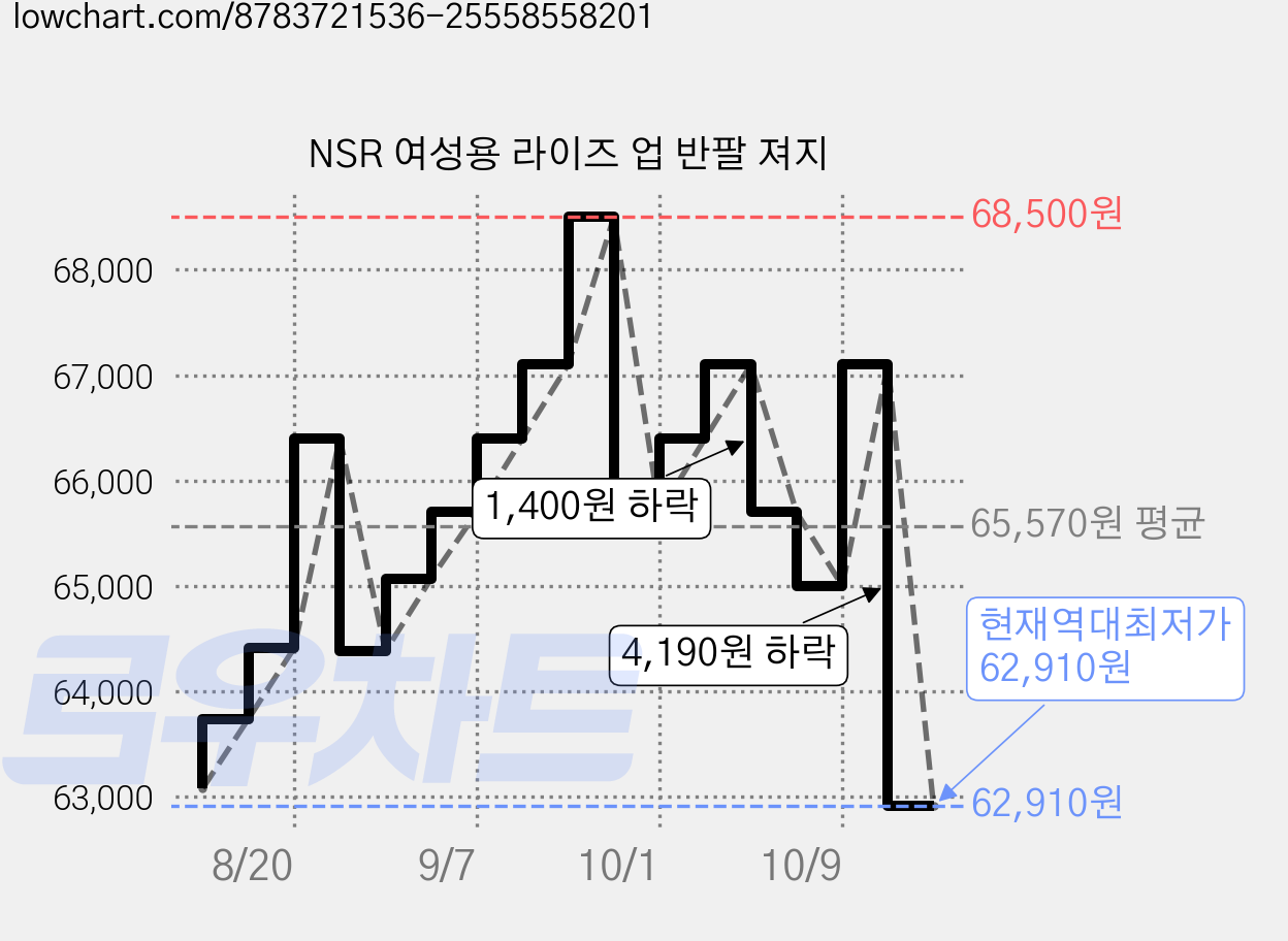 NSR 여성용 라이즈 업 반팔 져지 가격 변동 차트, 현재가 62,910원, 역대최저가