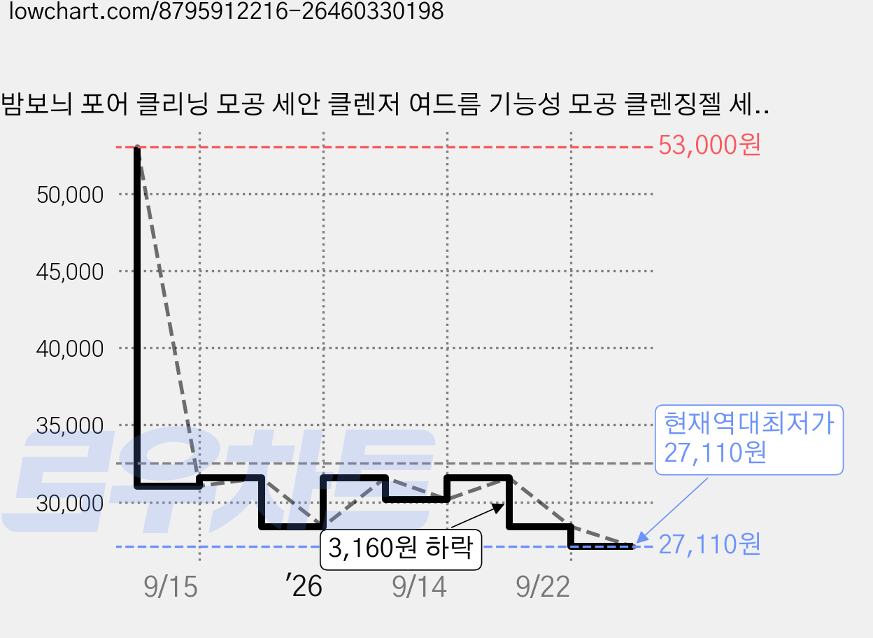 밤보늬 포어 클리닝 모공 세안 클렌저 여드름 기능성 모공 클렌징젤 세안 브러쉬 세트 클렌징폼 젤클렌징, 2세트 가격 변동 차트, 현재가 27,110원, 역대최저가