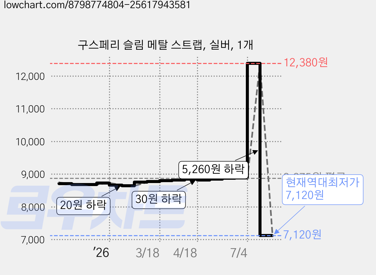 구스페리 슬림 메탈 스트랩, 실버, 1개 가격 변동 차트, 현재가 7,120원, 역대최저가
