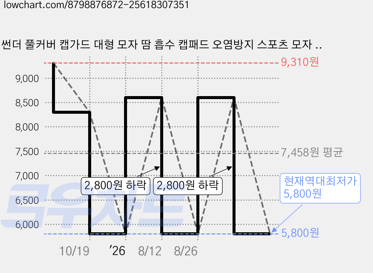 썬더 풀커버 캡가드 대형 모자 땀 흡수 캡패드 오염방지 스포츠 모자 땀패드, 1개, 블랙 가격 변동 차트, 현재가 5,800원, 역대최저가