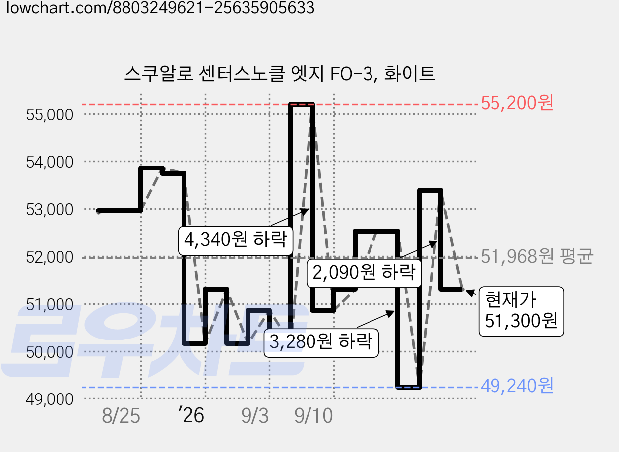 스쿠알로 센터스노클 엣지 FO-3, 화이트 가격 변동 차트, 현재가 51,300원, 관측 최저가 49,240원