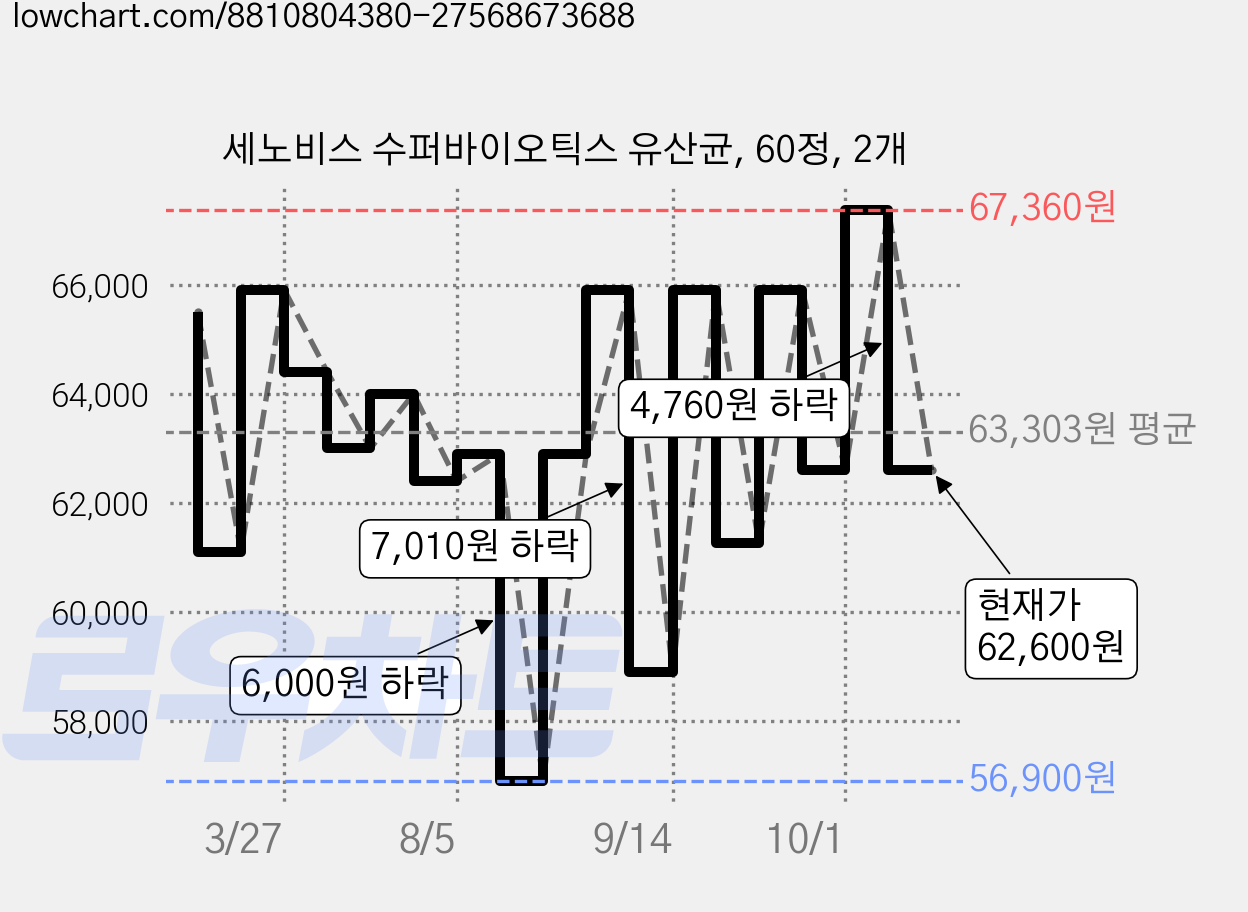 세노비스 수퍼바이오틱스 유산균, 60정, 2개 가격 변동 차트, 현재가 62,600원, 관측 최저가 56,900원