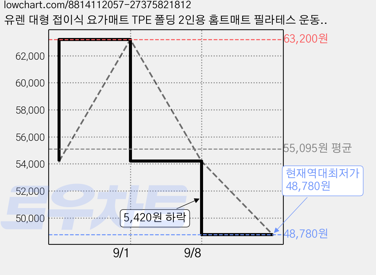 유렌 대형 접이식 요가매트 TPE 폴딩 2인용 홈트매트 필라테스 운동매트, 1개, 그레이 가격 변동 차트, 현재가 48,780원, 역대최저가