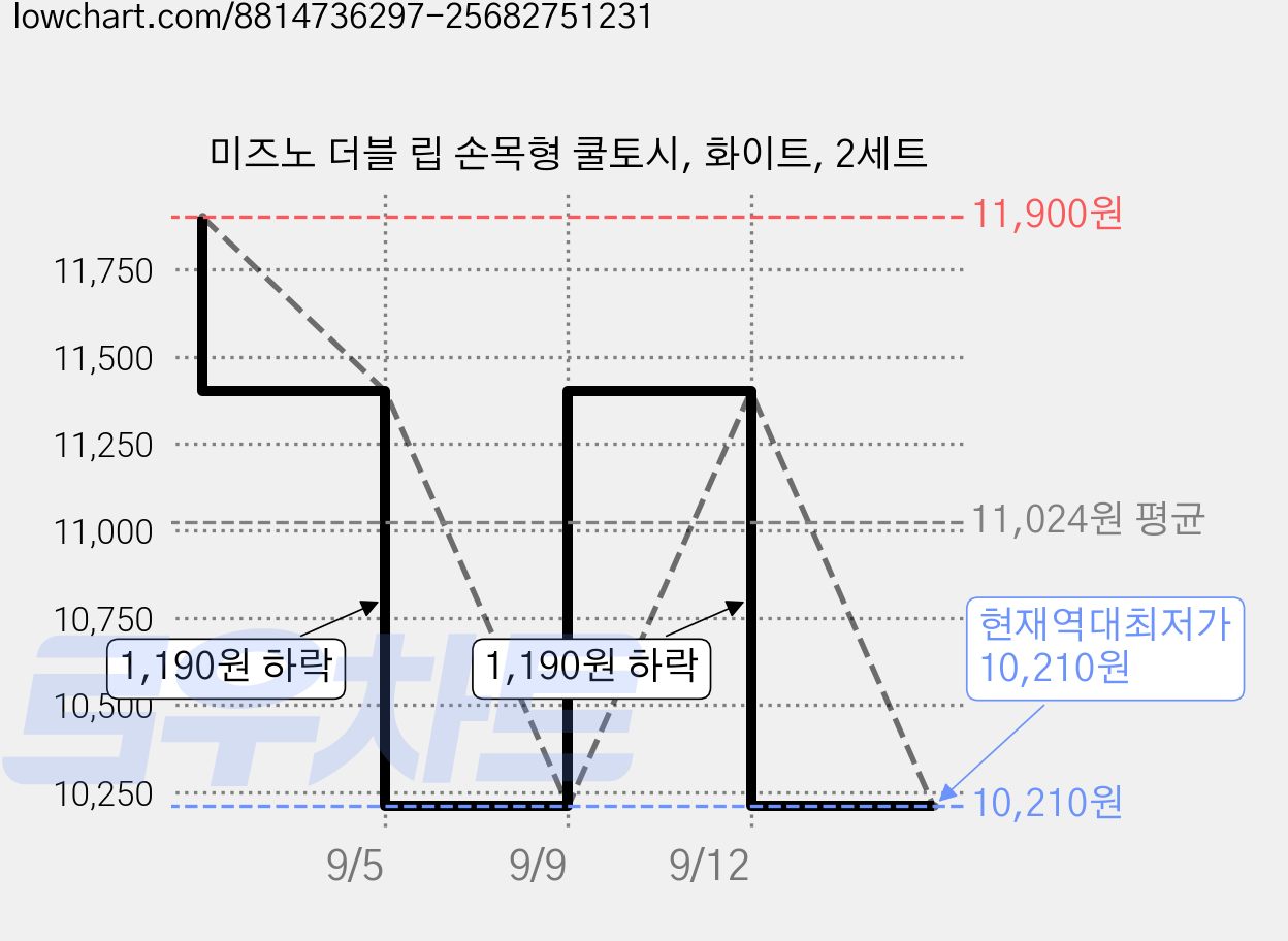 미즈노 더블 립 손목형 쿨토시, 화이트, 2세트 가격 변동 차트, 현재가 10,210원, 역대최저가