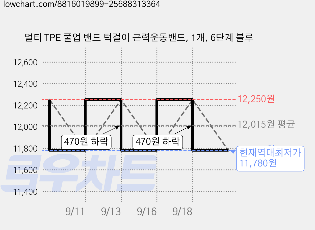 멀티 TPE 풀업 밴드 턱걸이 근력운동밴드, 1개, 6단계 블루 가격 변동 차트, 현재가 11,780원, 역대최저가