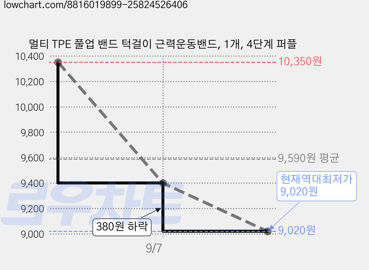 멀티 TPE 풀업 밴드 턱걸이 근력운동밴드, 1개, 4단계 퍼플 가격 변동 차트, 현재가 9,020원, 역대최저가
