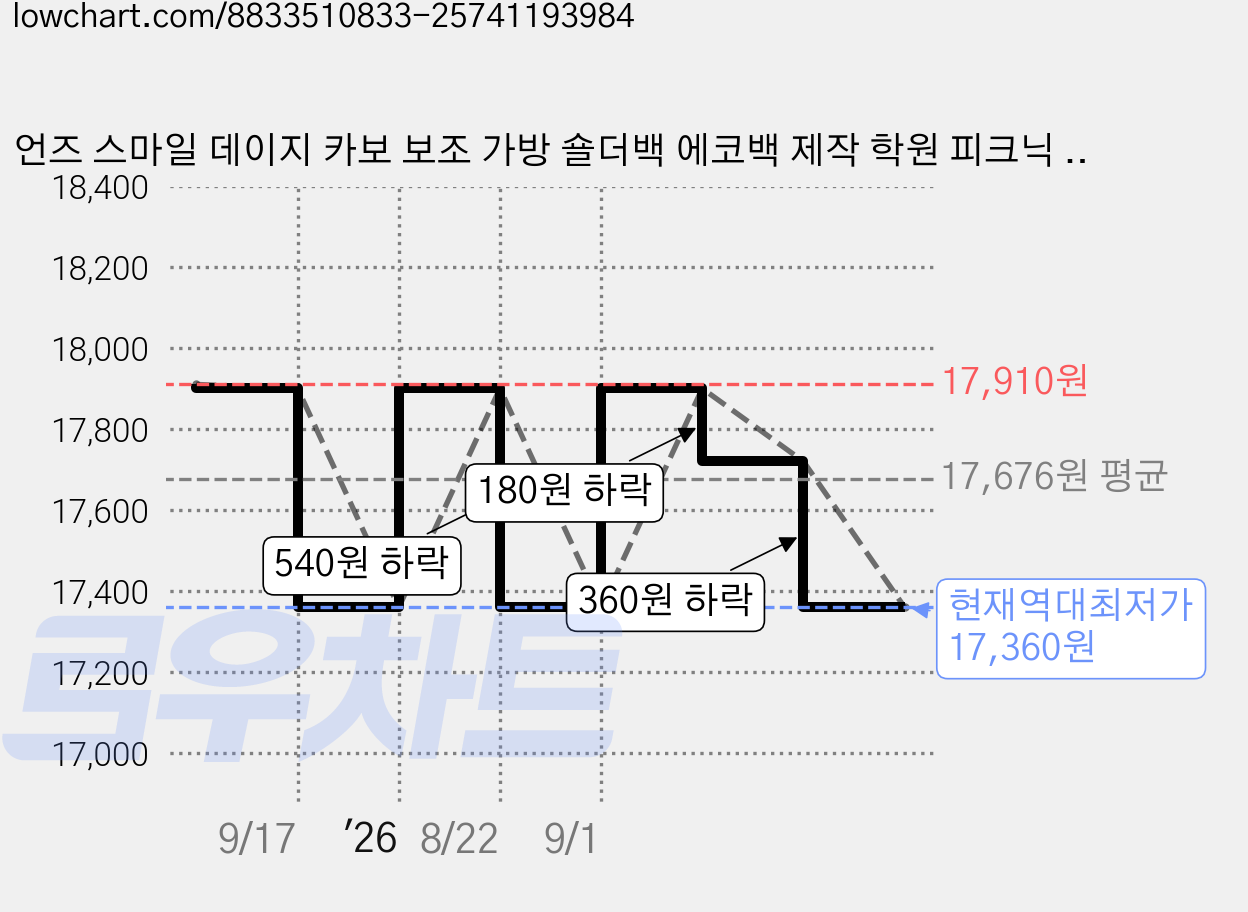 언즈 스마일 데이지 카보 보조 가방 숄더백 에코백 제작 학원 피크닉 캔버스백, 카보 블랙, 1개 가격 변동 차트, 현재가 17,360원, 역대최저가