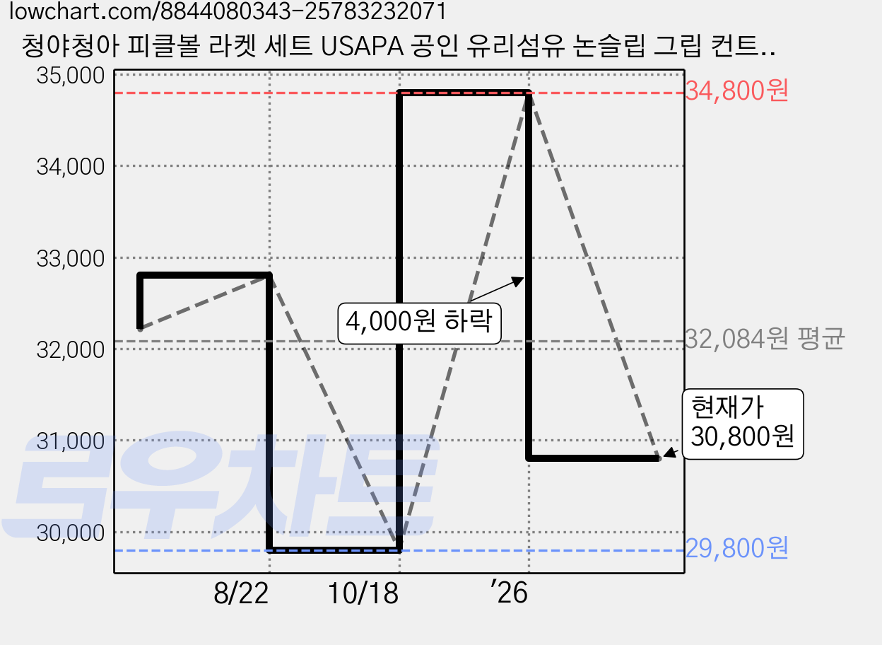 청야청아 피클볼 라켓 세트 USAPA 공인 유리섬유 논슬립 그립 컨트롤 향상, 그래피티, 1개, 세트1(가방1개+라켓 2개+공4개) 가격 변동 차트, 현재가 30,800원, 관측 최저가 29,800원