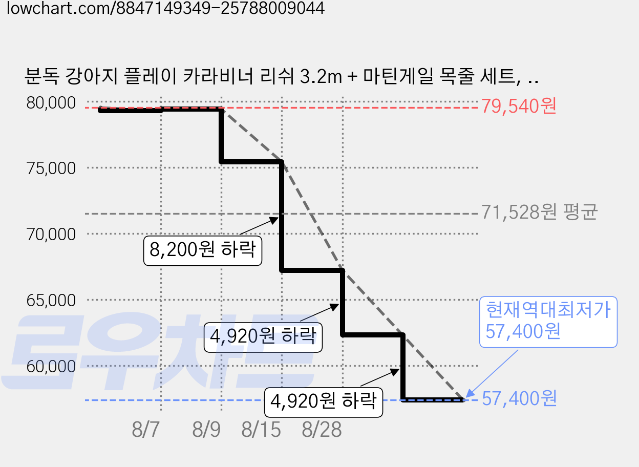 분독 강아지 플레이 카라비너 리쉬 3.2m + 마틴게일 목줄 세트, 블랙, 1세트 가격 변동 차트, 현재가 57,400원, 역대최저가