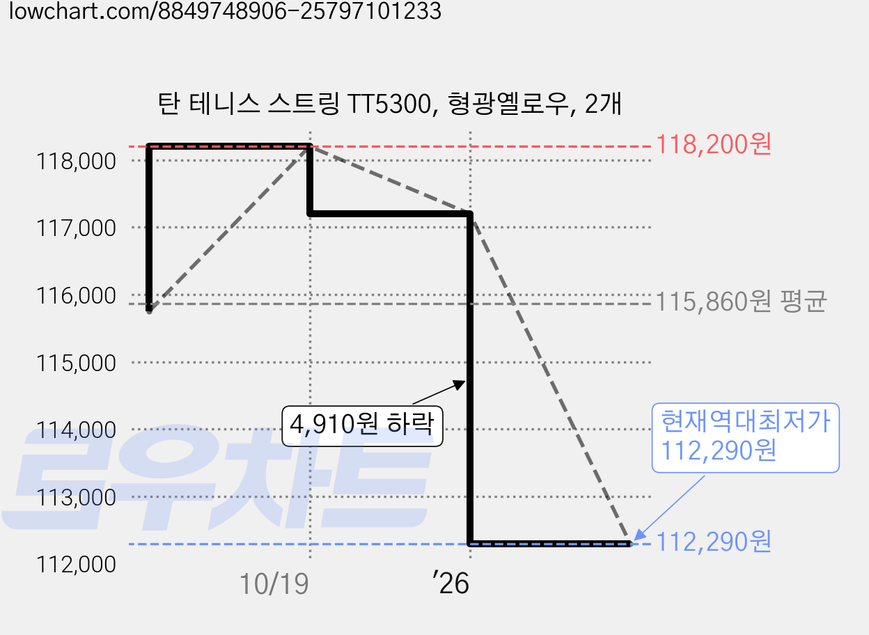 탄 테니스 스트링 TT5300, 형광옐로우, 2개 가격 변동 차트, 현재가 112,290원, 역대최저가