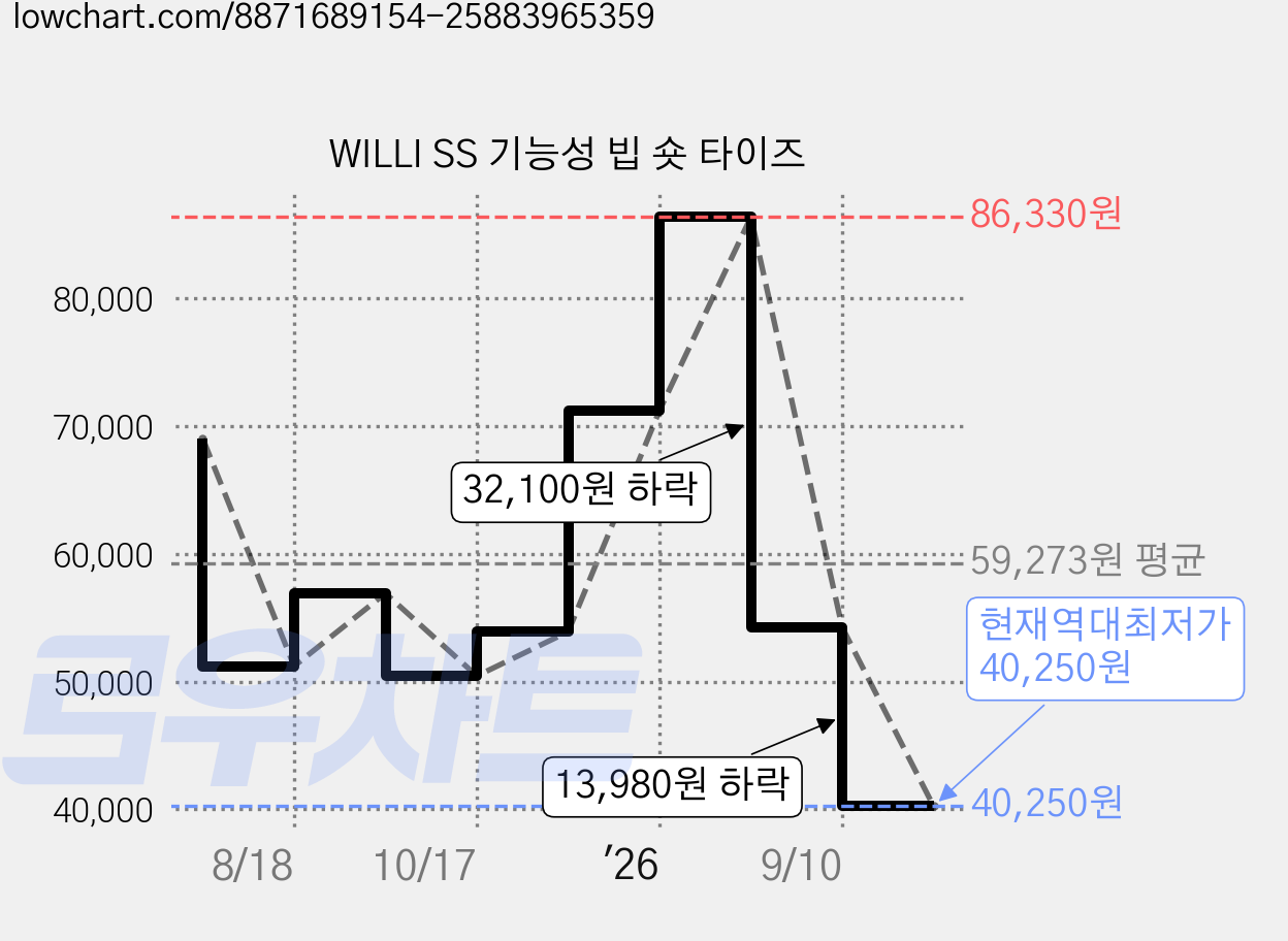 WILLI SS 기능성 빕 숏 타이즈 가격 변동 차트, 현재가 40,250원, 역대최저가