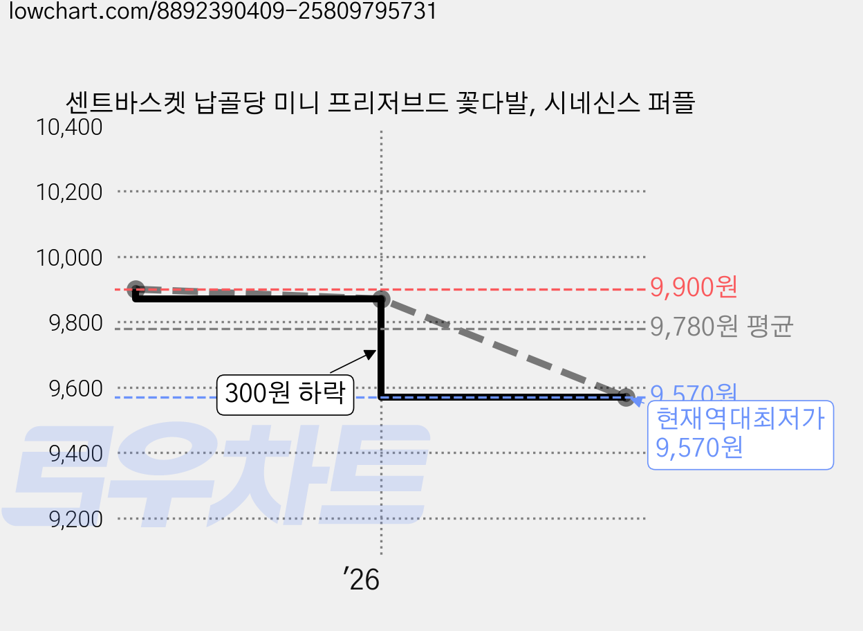 센트바스켓 납골당 미니 프리저브드 꽃다발, 시네신스 퍼플 가격 변동 차트, 현재가 9,570원, 역대최저가