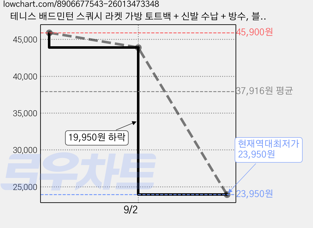 테니스 배드민턴 스쿼시 라켓 가방 토트백 + 신발 수납 + 방수, 블랙(BLACK), 1개 가격 변동 차트, 현재가 23,950원, 역대최저가