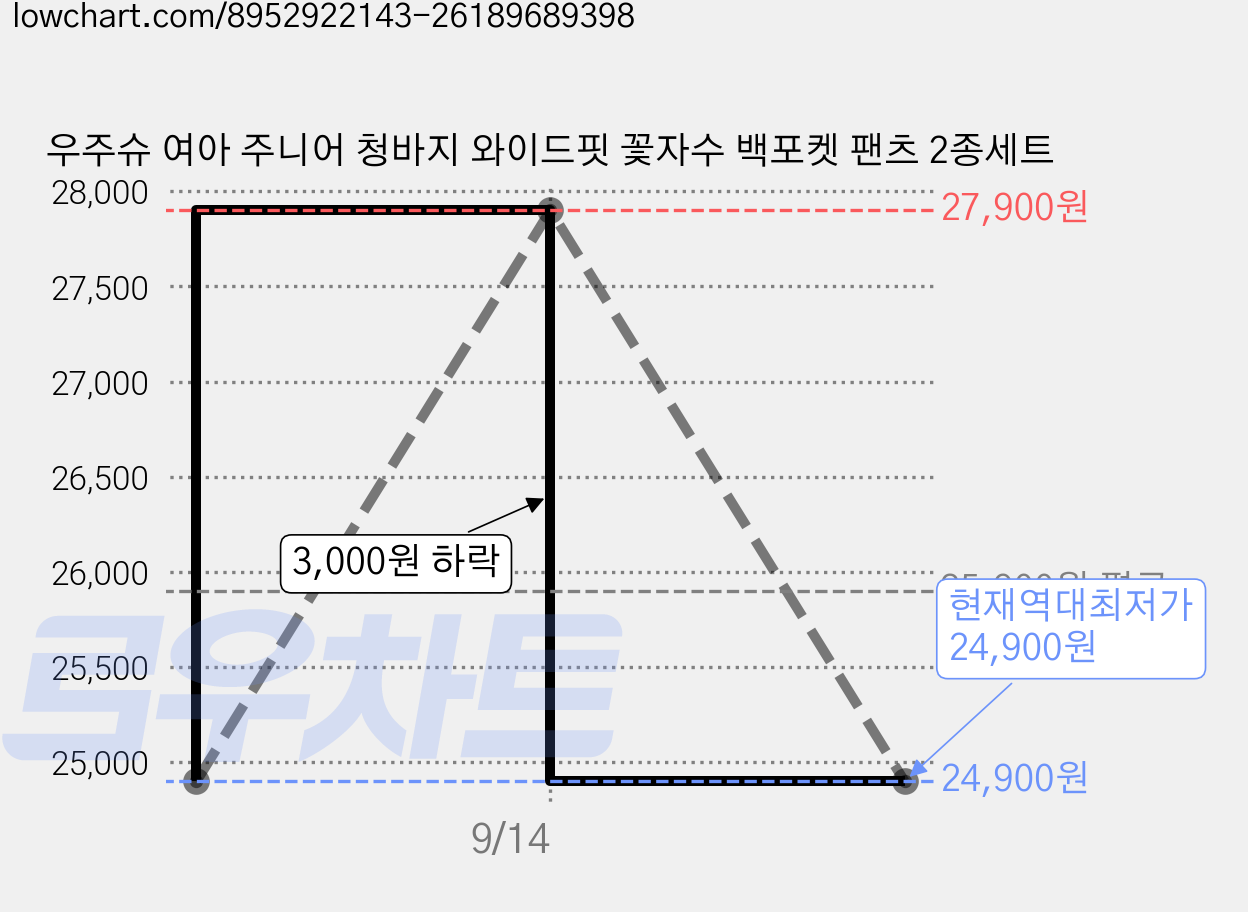 우주슈 여아 주니어 청바지 와이드핏 꽃자수 백포켓 팬츠 2종세트 가격 변동 차트, 현재가 24,900원, 역대최저가