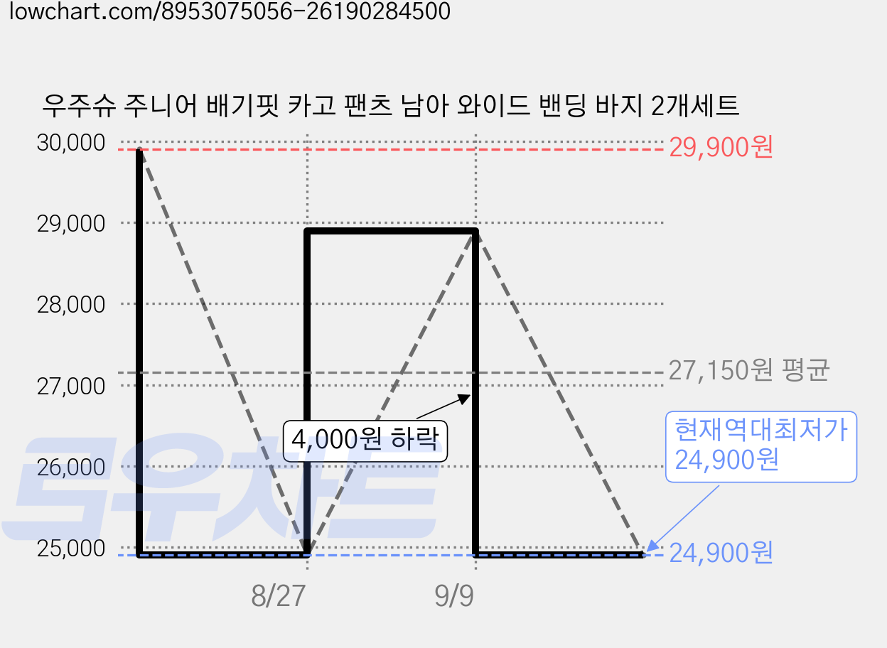 우주슈 주니어 배기핏 카고 팬츠 남아 와이드 밴딩 바지 2개세트 가격 변동 차트, 현재가 24,900원, 역대최저가