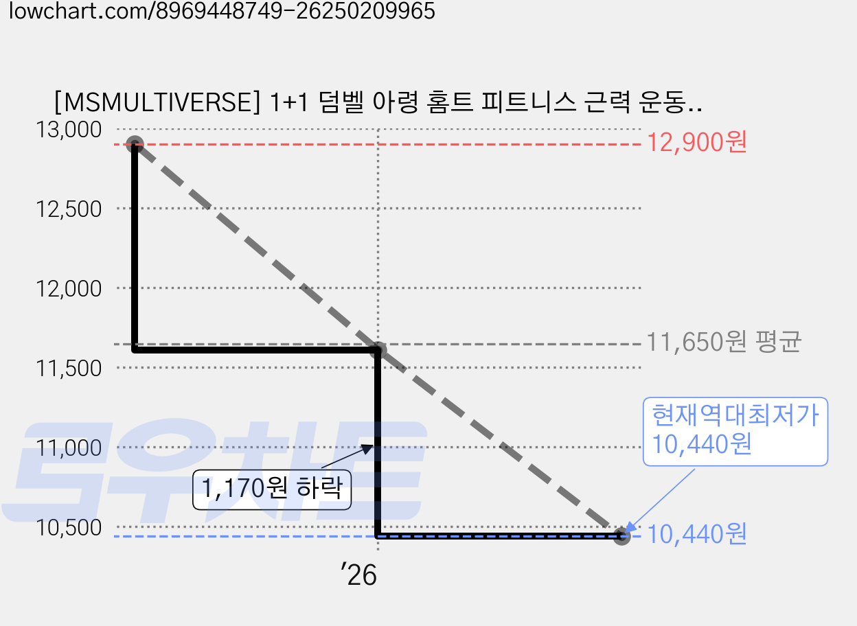 [MSMULTIVERSE] 1+1 덤벨 아령 홈트 피트니스 근력 운동 스포츠 물병 보틀 텀블러, 2개, 블랙 가격 변동 차트, 현재가 10,440원, 역대최저가