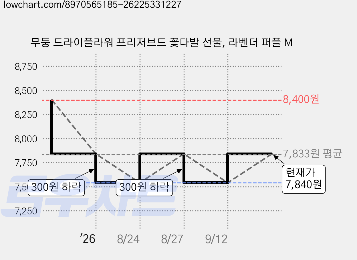 무둥 드라이플라워 프리저브드 꽃다발 선물, 라벤더 퍼플 M 가격 변동 차트, 현재가 7,840원, 관측 최저가 7,540원