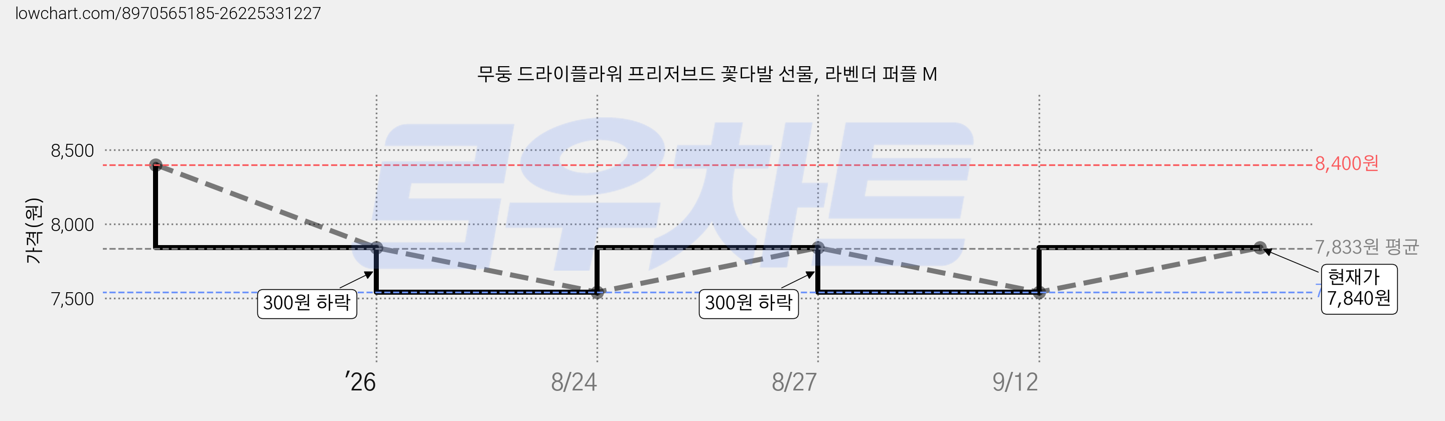 무둥 드라이플라워 프리저브드 꽃다발 선물, 라벤더 퍼플 M 가격 변동 차트, 현재가 7,840원, 관측 최저가 7,540원