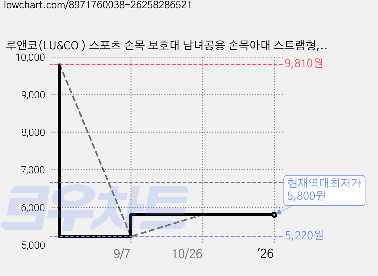 루앤코(LU&CO ) 스포츠 손목 보호대 남녀공용 손목아대 스트랩형, 블랙, 1개 가격 변동 차트, 현재가 5,800원, 역대최저가