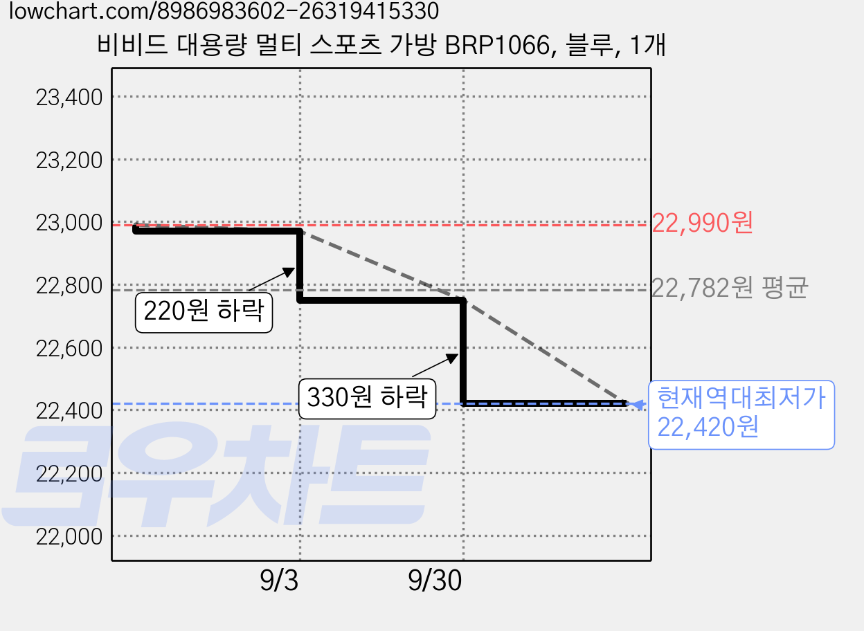 비비드 대용량 멀티 스포츠 가방 BRP1066, 블루, 1개 가격 변동 차트, 현재가 22,420원, 역대최저가