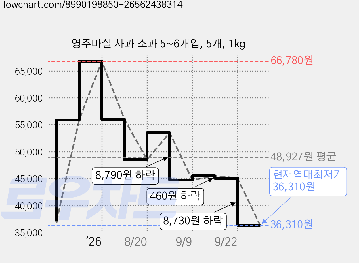 영주마실 사과 소과 5~6개입, 5개, 1kg 가격 변동 차트, 현재가 36,310원, 역대최저가