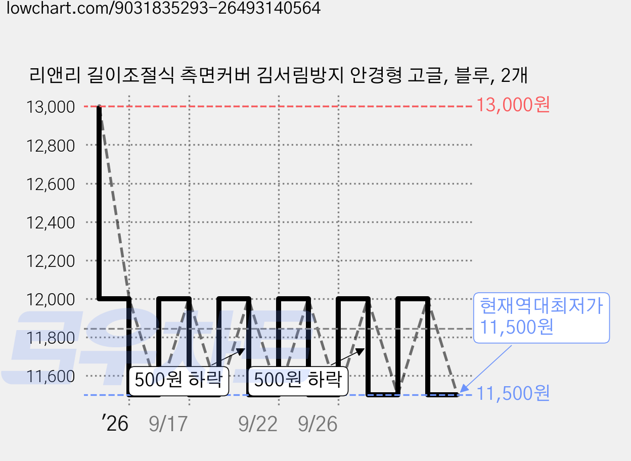 리앤리 길이조절식 측면커버 김서림방지 안경형 고글, 블루, 2개 가격 변동 차트, 현재가 11,500원, 역대최저가