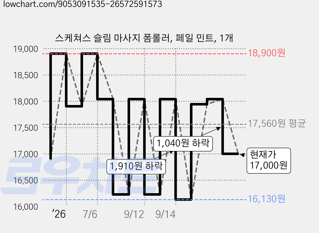 스케쳐스 슬림 마사지 폼롤러, 페일 민트, 1개 가격 변동 차트, 현재가 17,000원, 관측 최저가 16,130원