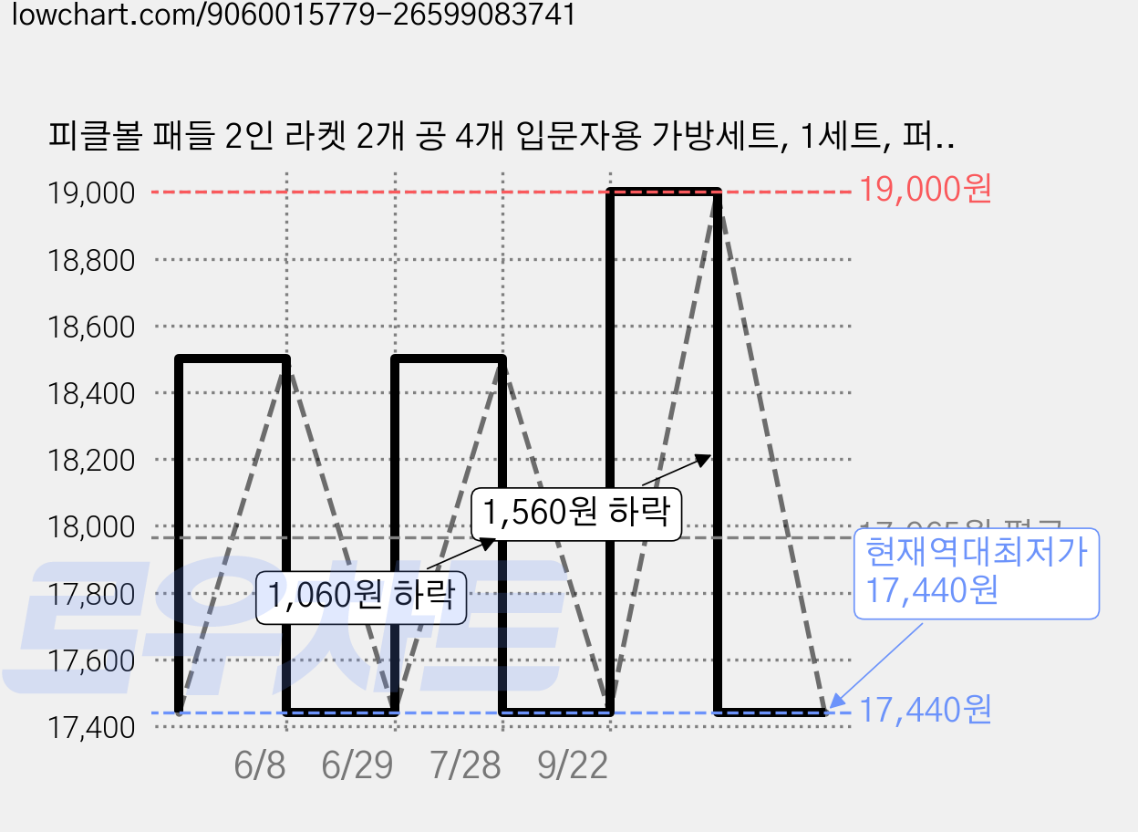 피클볼 패들 2인 라켓 2개 공 4개 입문자용 가방세트, 1세트, 퍼플레이저 가격 변동 차트, 현재가 17,440원, 역대최저가