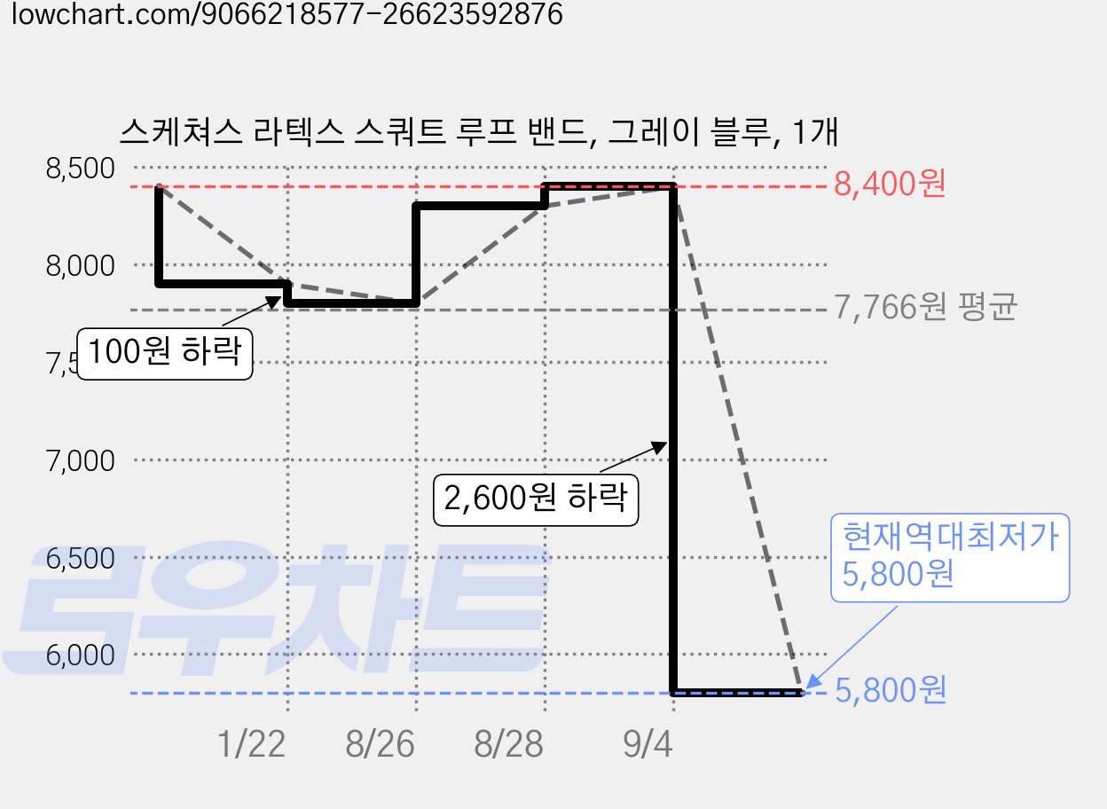 스케쳐스 라텍스 스쿼트 루프 밴드, 그레이 블루, 1개 가격 변동 차트, 현재가 5,800원, 역대최저가