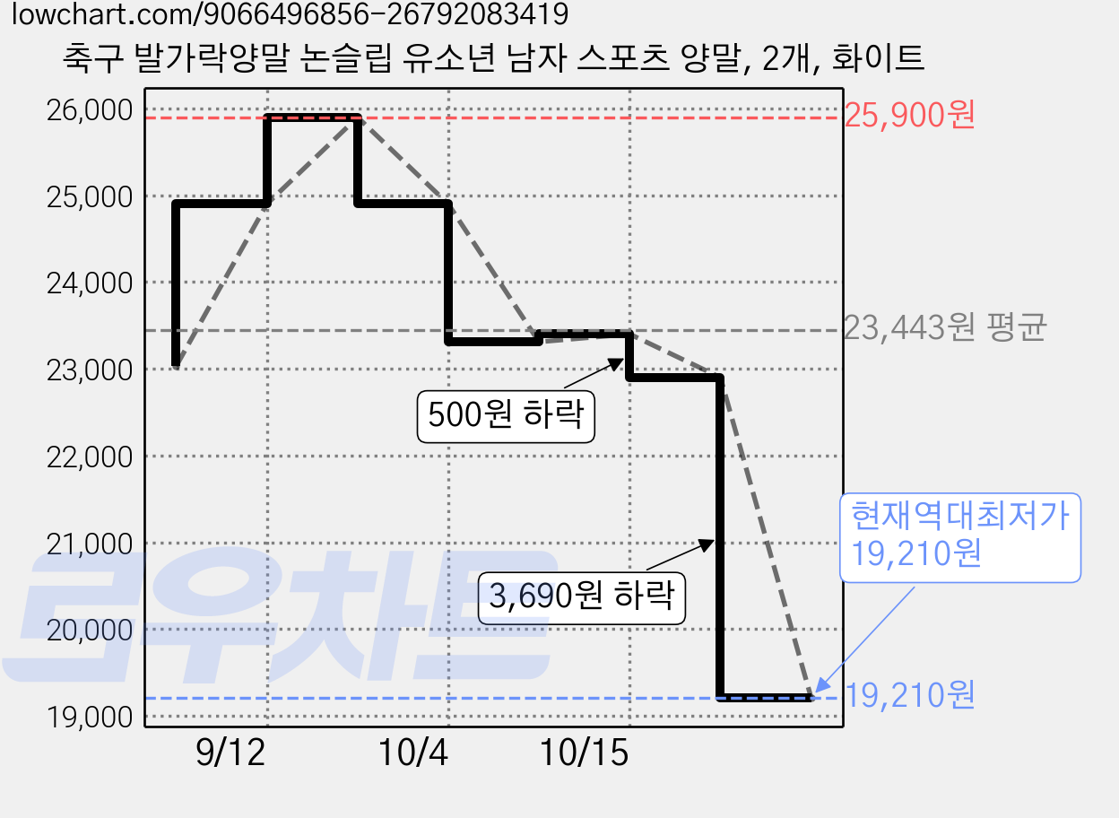 축구 발가락양말 논슬립 유소년 남자 스포츠 양말, 2개, 화이트 가격 변동 차트, 현재가 19,210원, 역대최저가