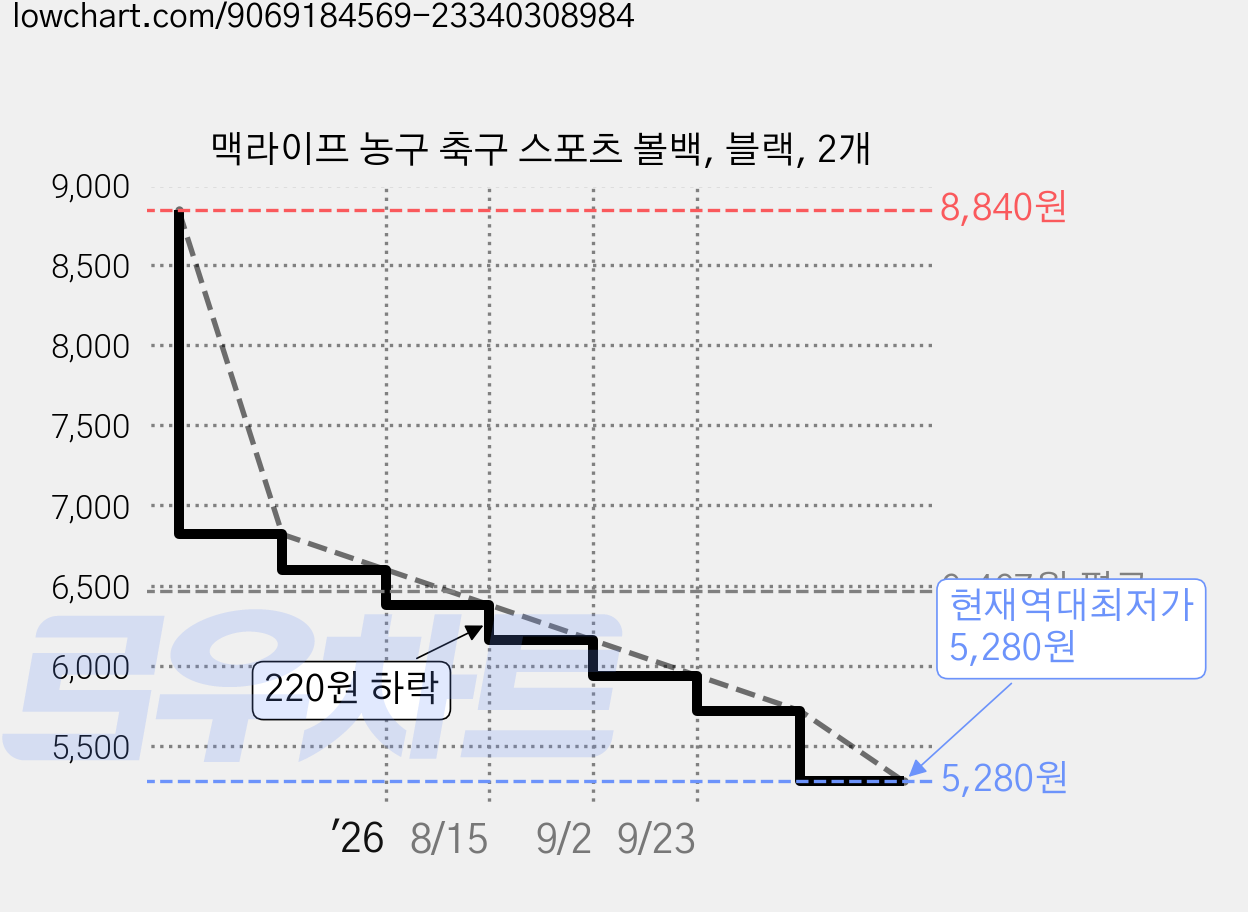 맥라이프 농구 축구 스포츠 볼백, 블랙, 2개 가격 변동 차트, 현재가 5,280원, 역대최저가
