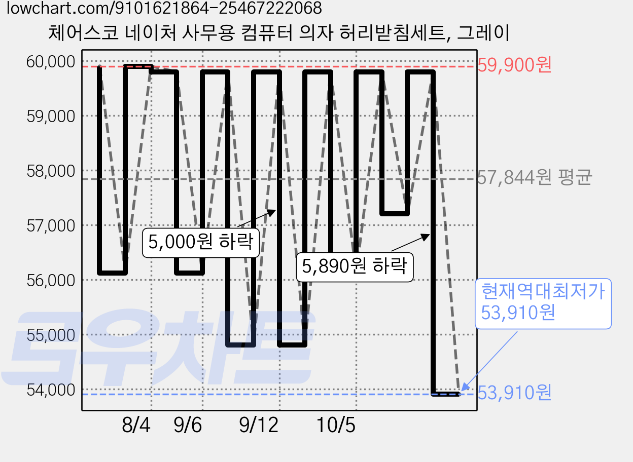 체어스코 네이처 사무용 컴퓨터 의자 허리받침세트, 그레이 가격 변동 차트, 현재가 53,910원, 역대최저가