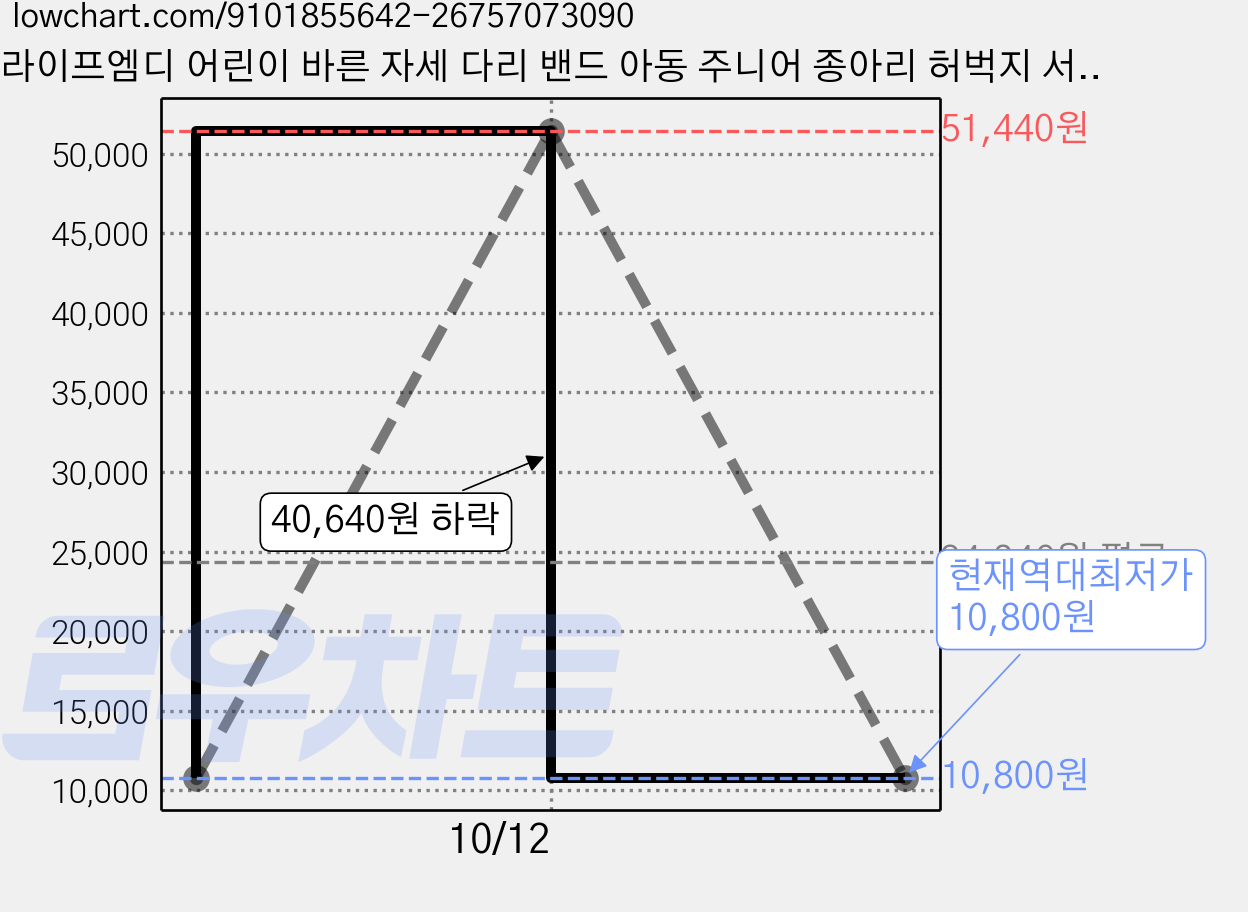 라이프엠디 어린이 바른 자세 다리 밴드 아동 주니어 종아리 허벅지 서포트 벨트, 1세트 가격 변동 차트, 현재가 10,800원, 역대최저가