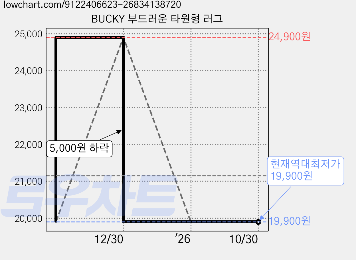 BUCKY 부드러운 타원형 러그 가격 변동 차트, 현재가 19,900원, 역대최저가