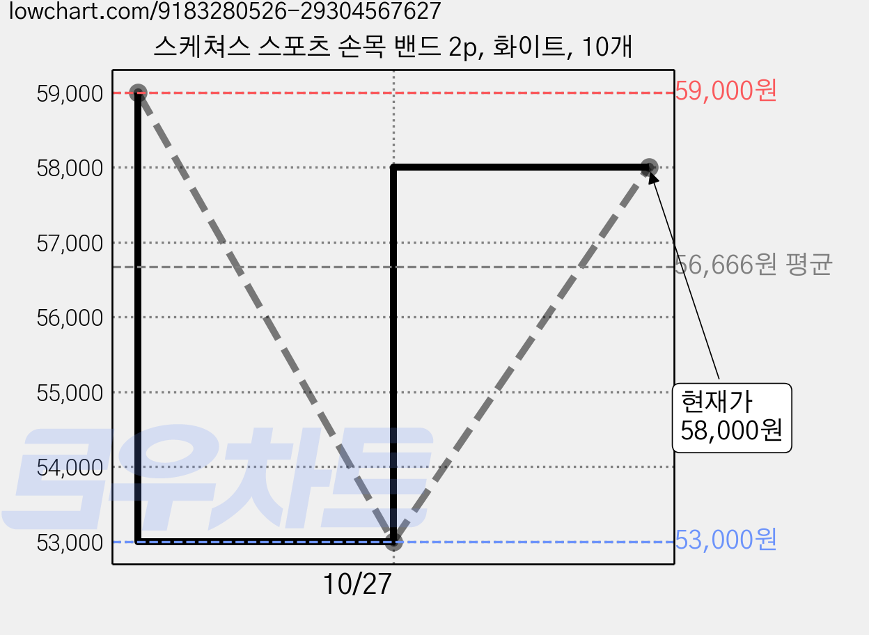 스케쳐스 스포츠 손목 밴드 2p, 화이트, 10개 가격 변동 차트, 현재가 53,000원, 역대최저가