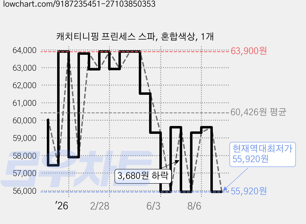 캐치티니핑 프린세스 스파, 혼합색상, 1개 가격 변동 차트, 현재가 55,920원, 역대최저가