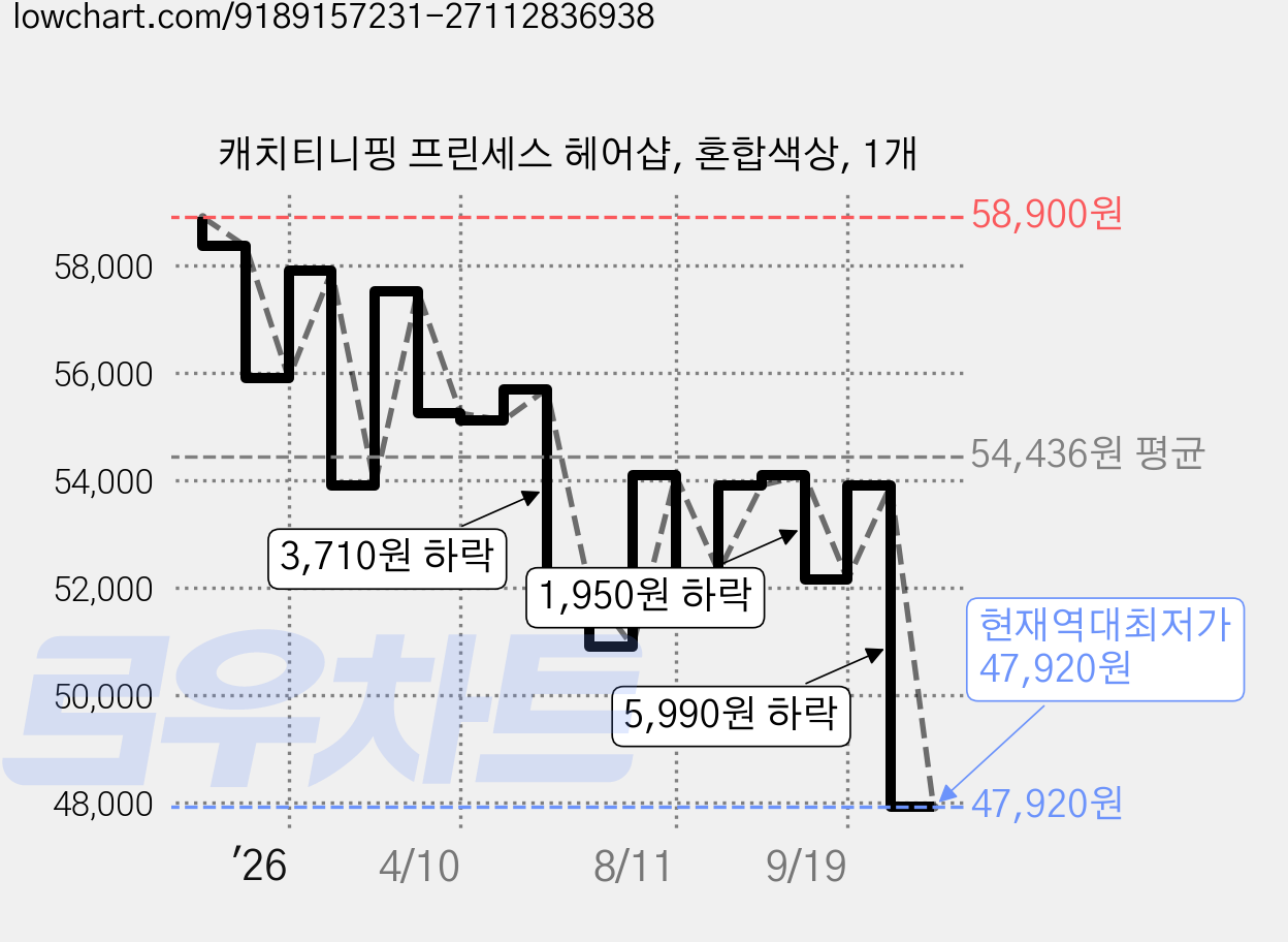 캐치티니핑 프린세스 헤어샵, 혼합색상, 1개 가격 변동 차트, 현재가 47,920원, 역대최저가