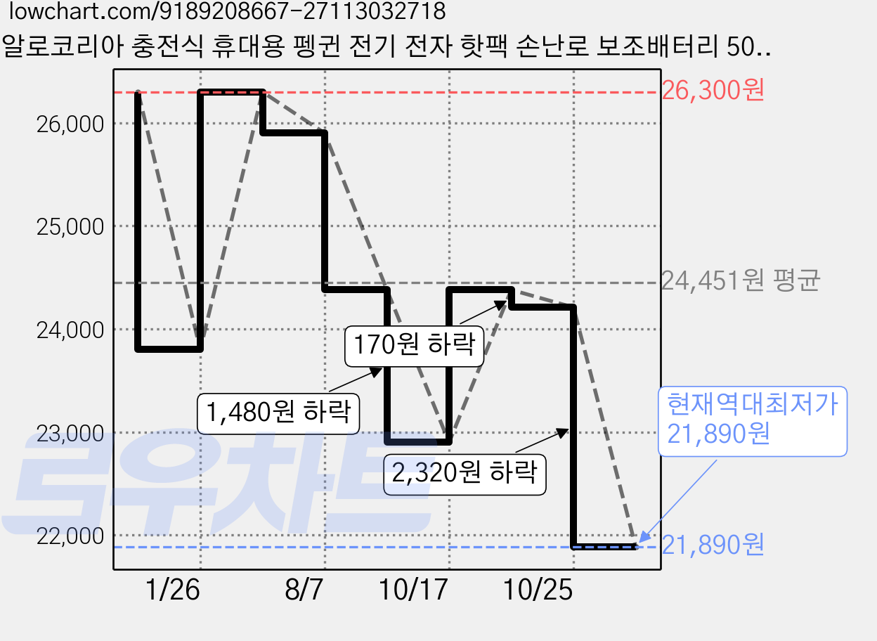알로코리아 충전식 휴대용 펭귄 전기 전자 핫팩 손난로 보조배터리 5000mAh, WM504, 블랙 가격 변동 차트, 현재가 21,890원, 역대최저가