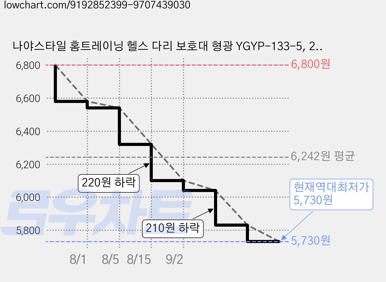 나야스타일 홈트레이닝 헬스 다리 보호대 형광 YGYP-133-5, 2개 가격 변동 차트, 현재가 5,730원, 역대최저가