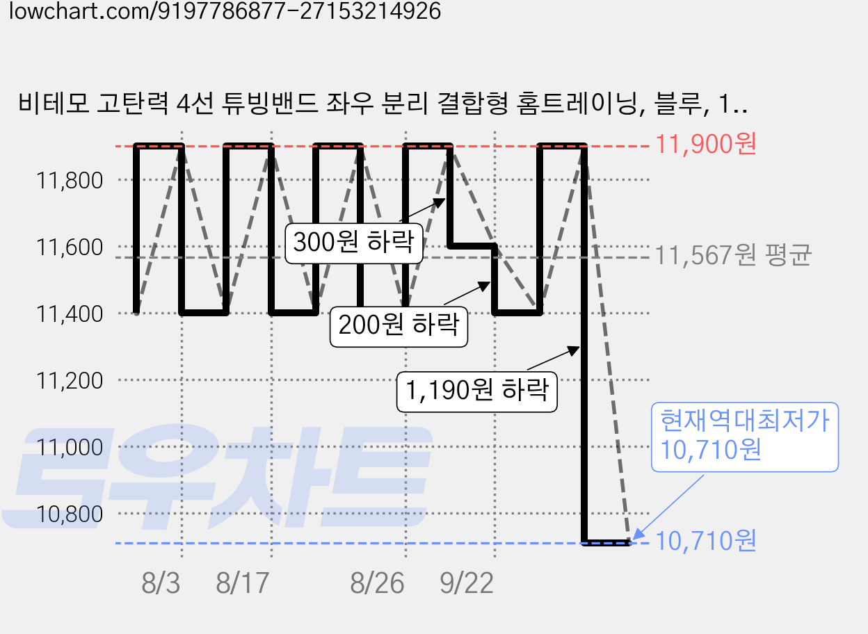 비테모 고탄력 4선 튜빙밴드 좌우 분리 결합형 홈트레이닝, 블루, 1개 가격 변동 차트, 현재가 10,710원, 역대최저가