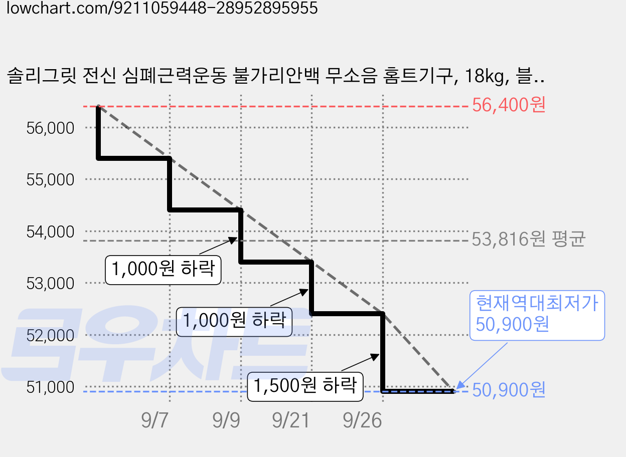 솔리그릿 전신 심폐근력운동 불가리안백 무소음 홈트기구, 18kg, 블랙 가격 변동 차트, 현재가 50,900원, 역대최저가