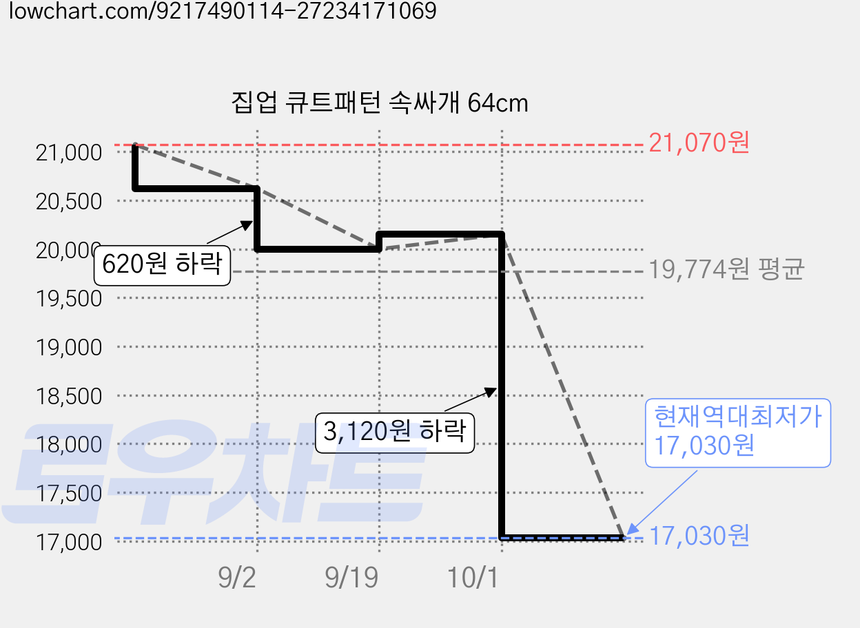집업 큐트패턴 속싸개 64cm 가격 변동 차트, 현재가 17,030원, 역대최저가