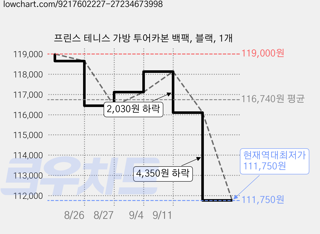 프린스 테니스 가방 투어카본 백팩, 블랙, 1개 가격 변동 차트, 현재가 111,750원, 역대최저가