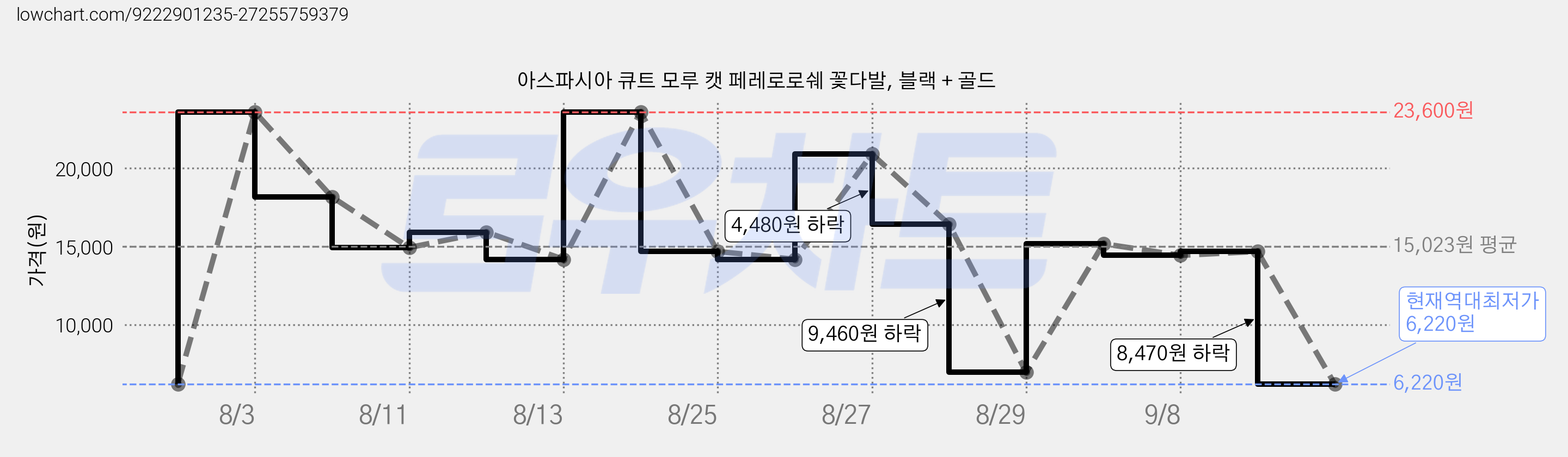 아스파시아 큐트 모루 캣 페레로로쉐 꽃다발, 블랙 + 골드 가격 변동 차트, 현재가 6,220원, 역대최저가