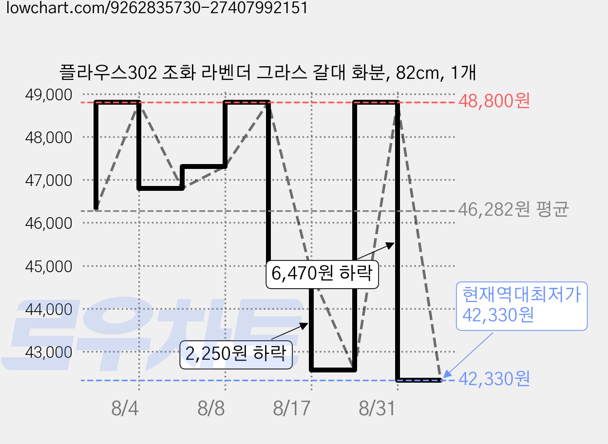플라우스302 조화 라벤더 그라스 갈대 화분, 82cm, 1개 가격 변동 차트, 현재가 42,330원, 역대최저가
