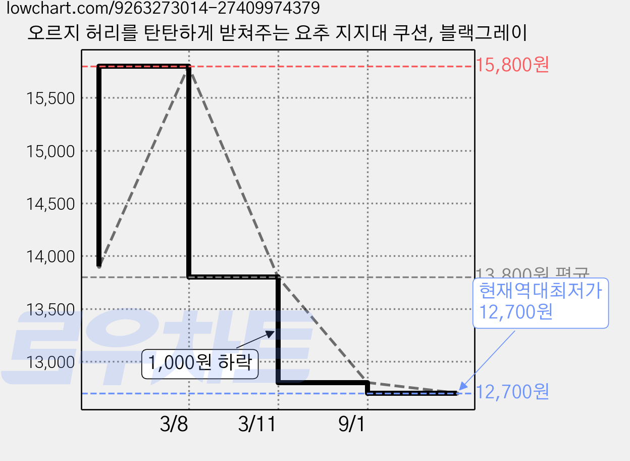 오르지 허리를 탄탄하게 받쳐주는 요추 지지대 쿠션, 블랙그레이 가격 변동 차트, 현재가 12,700원, 역대최저가