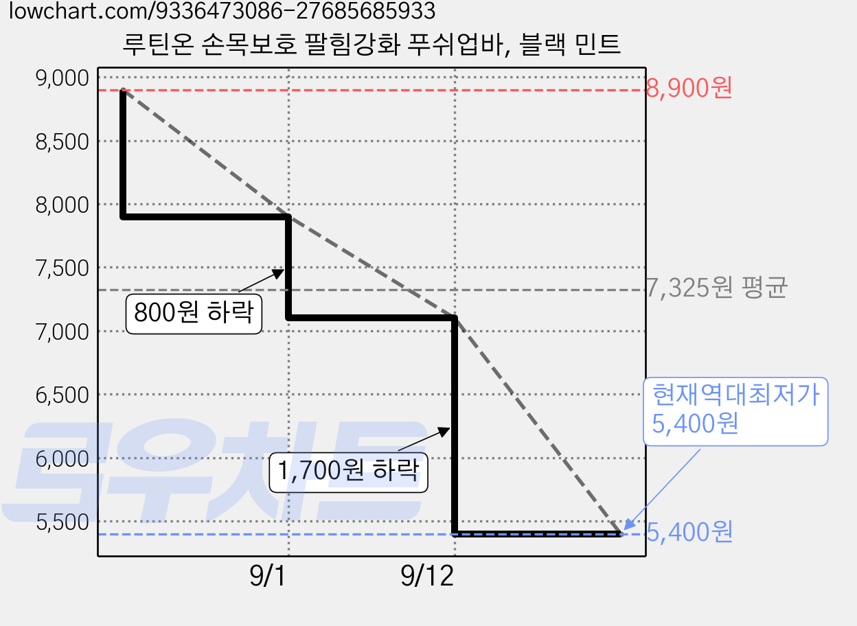 루틴온 손목보호 팔힘강화 푸쉬업바, 블랙 민트 가격 변동 차트, 현재가 5,400원, 역대최저가