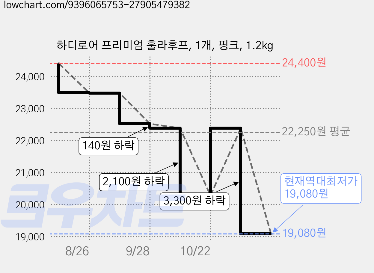 하디로어 프리미엄 훌라후프, 1개, 핑크, 1.2kg 가격 변동 차트, 현재가 19,080원, 역대최저가