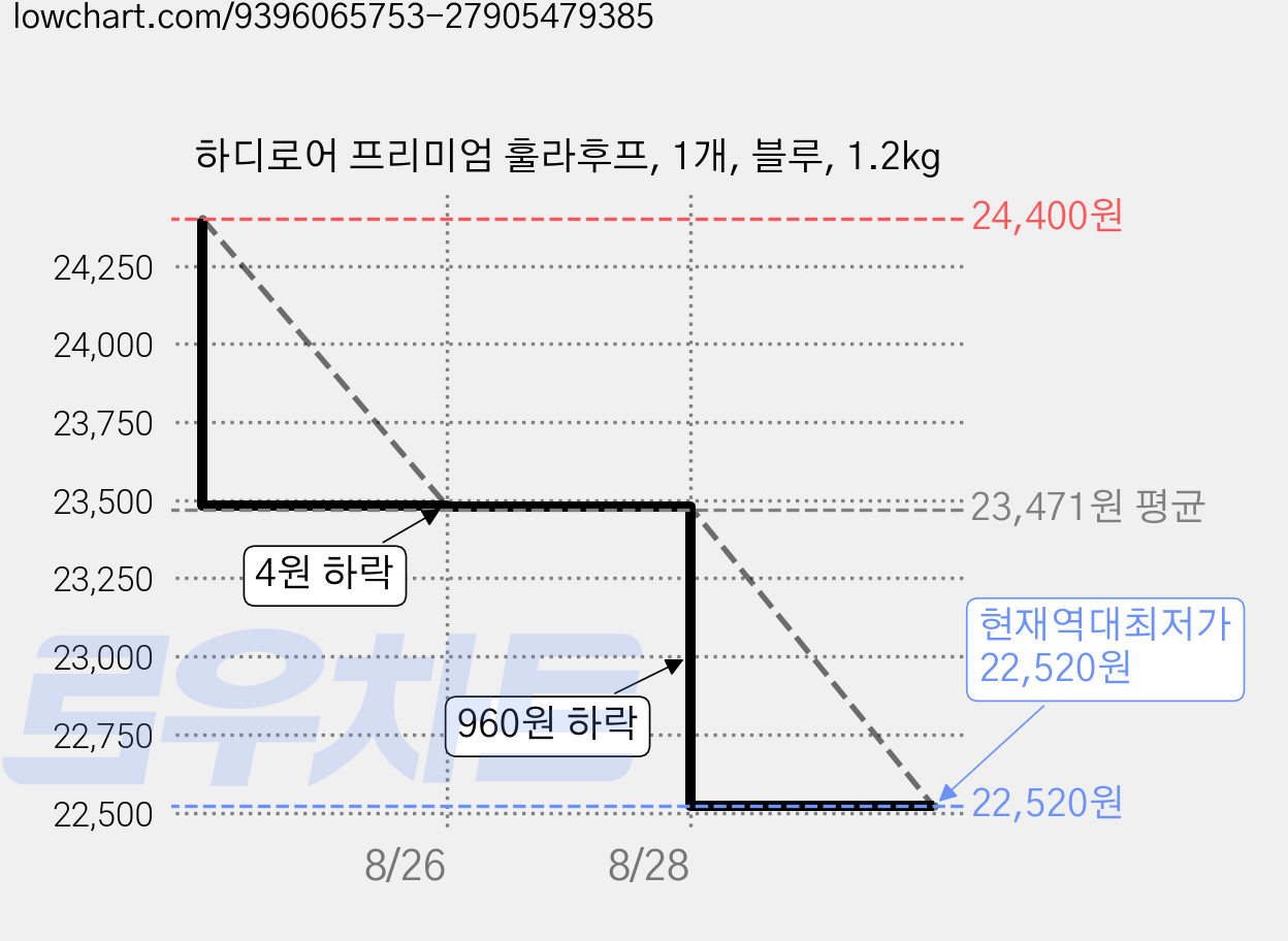 하디로어 프리미엄 훌라후프, 1개, 블루, 1.2kg 가격 변동 차트, 현재가 22,520원, 역대최저가