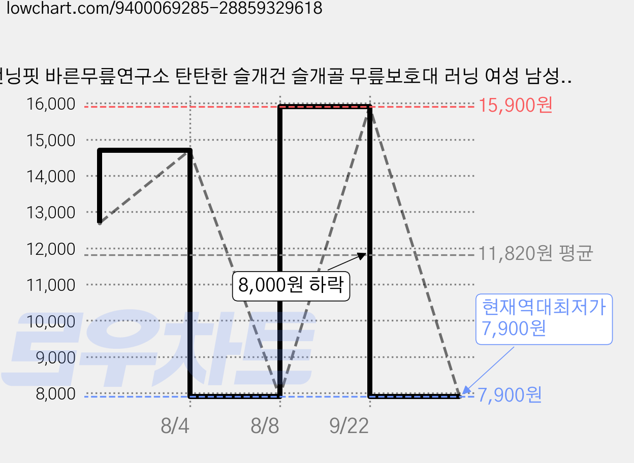 런닝핏 바른무릎연구소 탄탄한 슬개건 슬개골 무릎보호대 러닝 여성 남성, 실버, 2개 가격 변동 차트, 현재가 7,900원, 역대최저가
